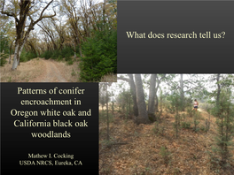 Patterns of Conifer Encroachment in Oregon White Oak and California Black Oak Woodlands