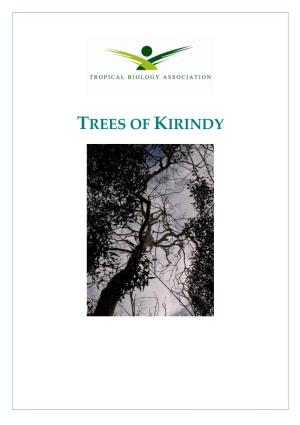 Trees of Kirindy