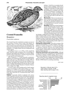 Crested Francolin