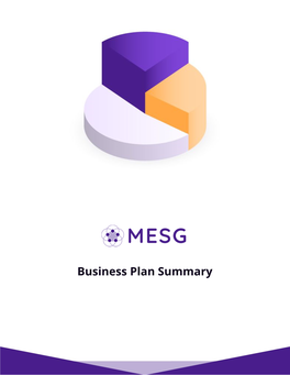 Business Plan Summary