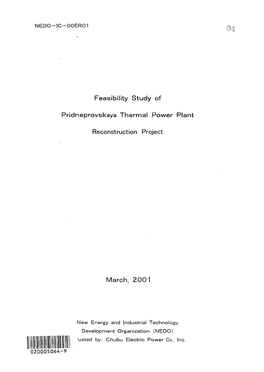 Feasibility Study of Pridneprovskaya Thermal Power Plant Reconstruction Project