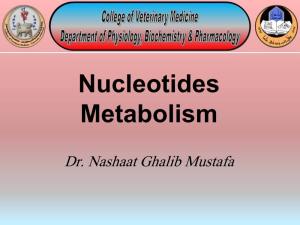 Nucleotides Metabolism