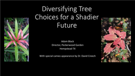 Diversifying Tree Choices for a Shadier Future