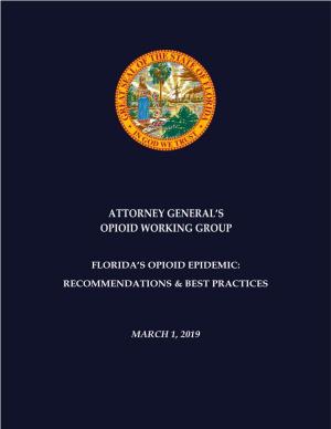 Attorney General's Opioid Working Group, Recommendations and Best