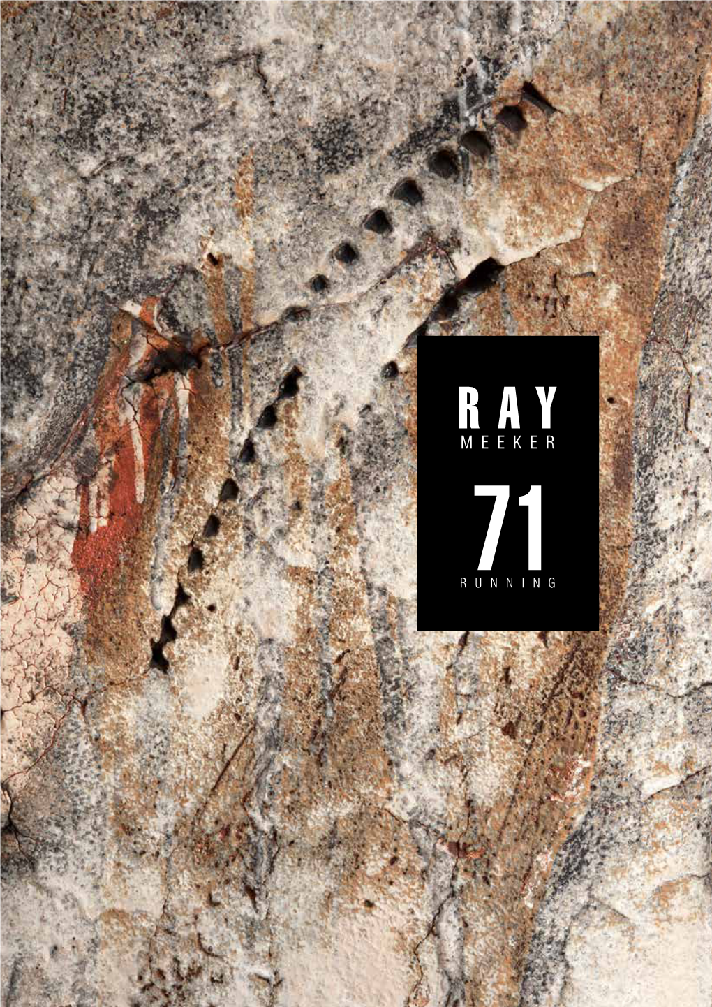 Ray Meeker 2015 Catalog Final with Cover