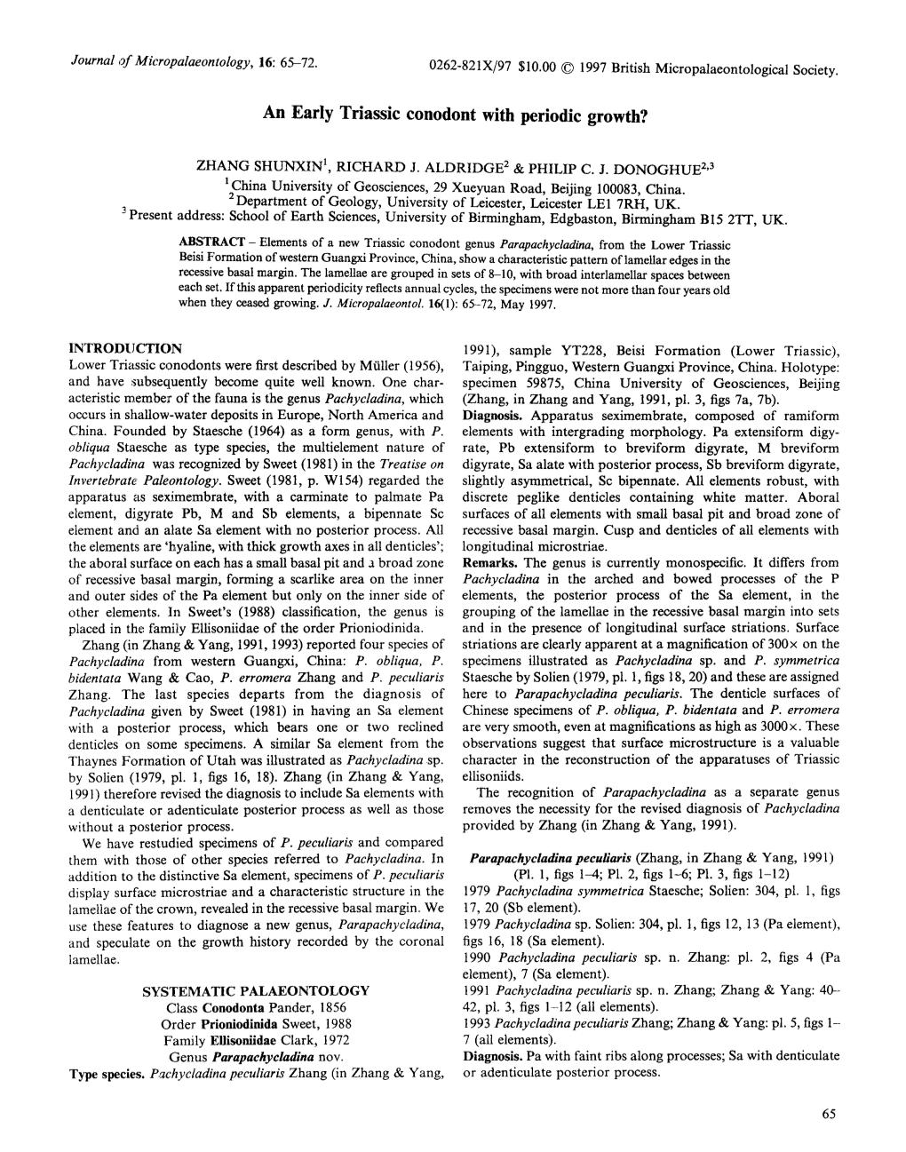 An Early Triassic Conodont with Periodic Growth?