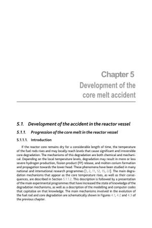 Chapter 5 Development of the Core Melt Accident