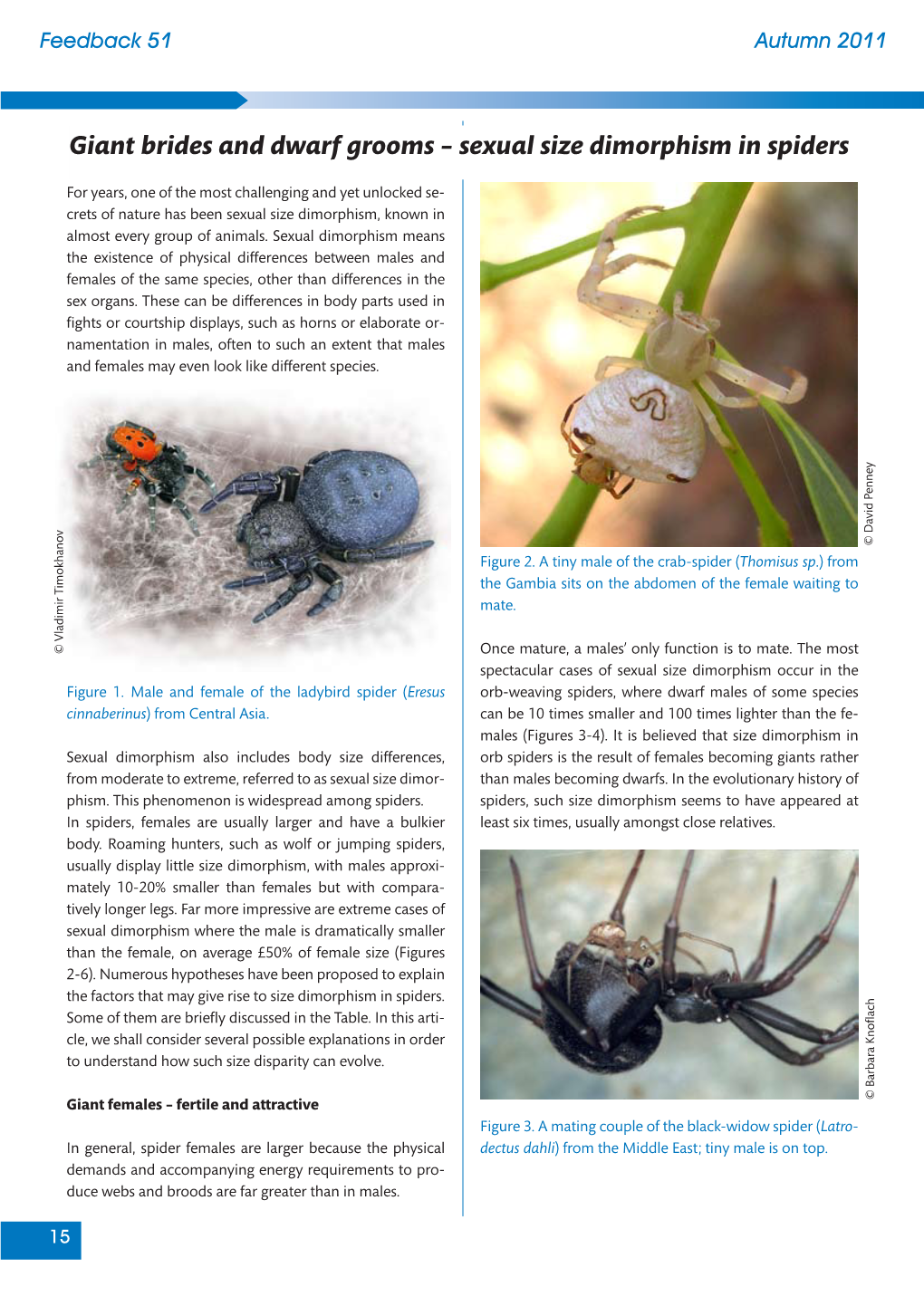 Giant Brides and Dwarf Grooms – Sexual Size Dimorphism in Spiders