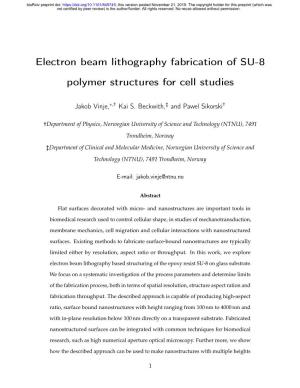 Electron Beam Lithography Fabrication of SU-8 Polymer Structures for Cell Studies