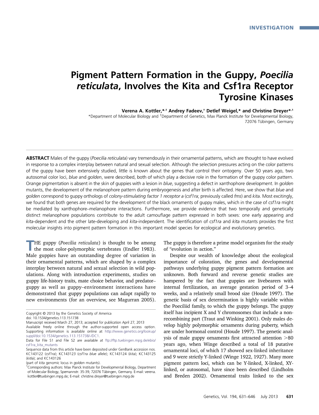 Pigment Pattern Formation in the Guppy, Poecilia Reticulata, Involves the Kita and Csf1ra Receptor Tyrosine Kinases