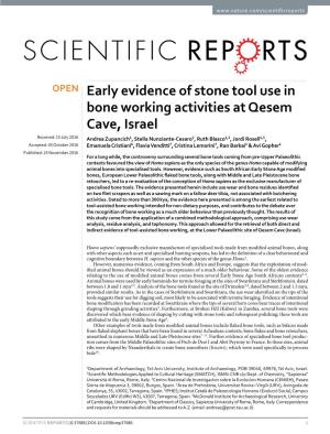 Early Evidence of Stone Tool Use in Bone Working Activities at Qesem Cave, Israel