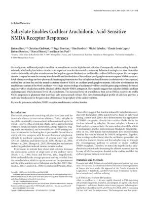 Salicylate Enables Cochlear Arachidonic-Acid-Sensitive NMDA Receptor Responses