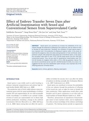 Effect of Embryo Transfer Seven Days After Artificial Insemination with Sexed and Conventional Semen from Superovulated Cattle