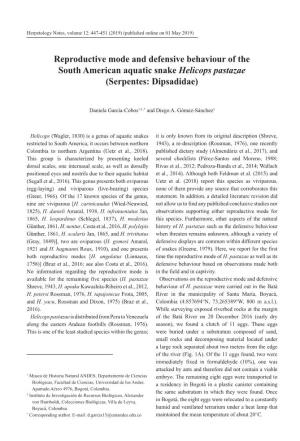 Reproductive Mode and Defensive Behaviour of the South American Aquatic Snake Helicops Pastazae (Serpentes: Dipsadidae)
