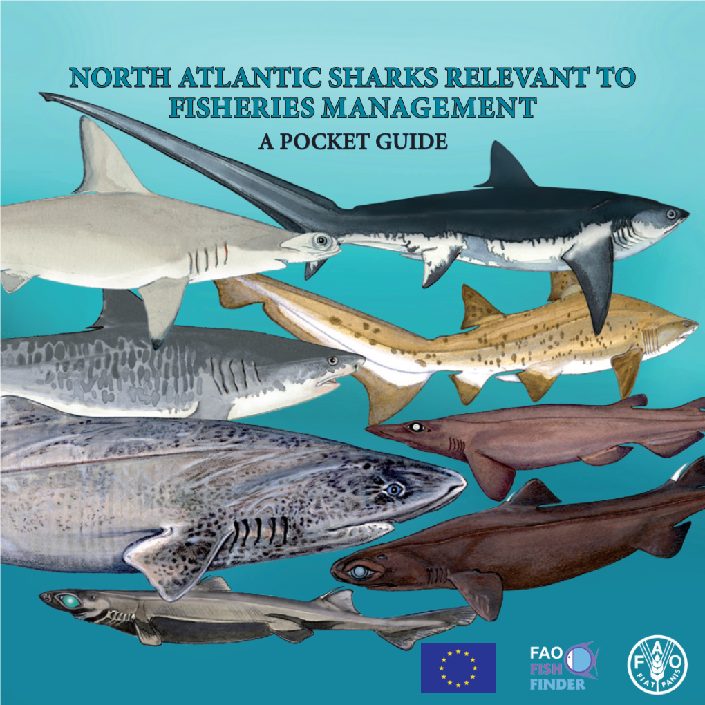 North Atlantic Sharks Relevant to Fisheries Management a Pocket Guide Fao