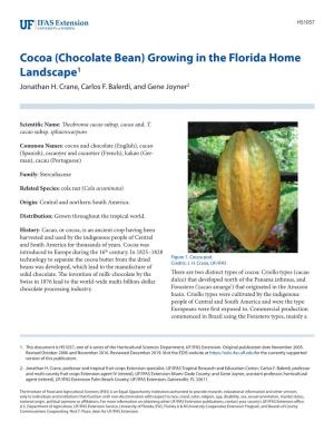 Cocoa (Chocolate Bean) Growing in the Florida Home Landscape1 Jonathan H