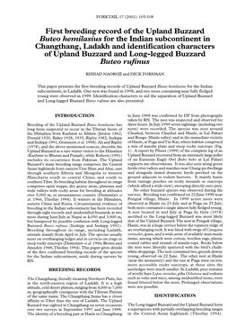 First Breeding Record of the Upland Buzzard Buteo