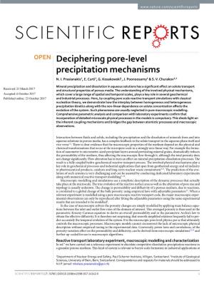 Deciphering Pore-Level Precipitation Mechanisms N