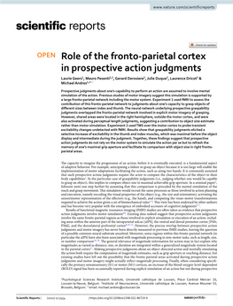 Role of the Fronto-Parietal Cortex in Prospective Action Judgments