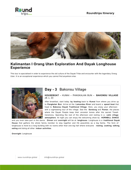 Kalimantan I Orang Utan Exploration and Dayak Longhouse Experience