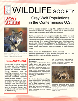 Gray Wolf Predation