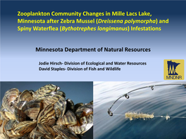 Zooplankton Community Changes in Mille Lacs Lake, Minnesota After Zebra Mussel (Dreissena Polymorpha) and Spiny Waterflea (Bythotrephes Longimanus) Infestations