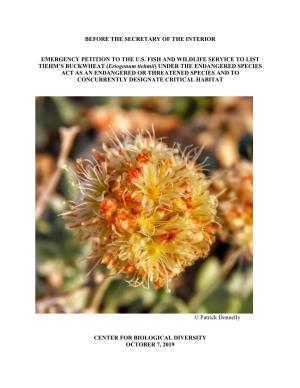 Tiehm's Buckwheat (Eriogonum Tiehmii)”, U.S
