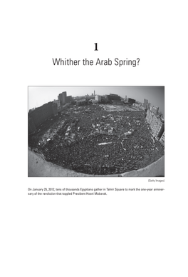 Whither the Arab Spring?