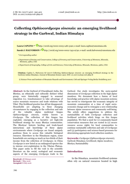 Collecting Ophiocordyceps Sinensis: an Emerging Livelihood Strategy in the Garhwal, Indian Himalaya