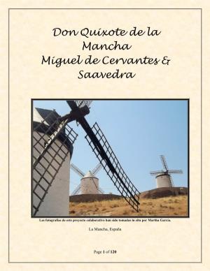 Collaborative Academic Project: Don Quixote 2014-2015