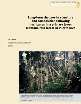 Long-Term Changes in Structure and Composition Following Hurricanes in a Primary Lower Montane Rain Forest in Puerto Rico