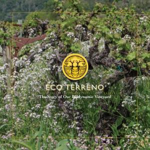 The Story of Our Biodynamic Vineyard Biodynamics at Eco Terreno