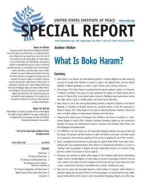 What Is Boko Haram? Narratives Has Grown up Around Boko Haram, and the Group’S Origins, Motivations, and Future Plans Remain a Matter of Debate