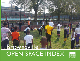 Brownsville OPEN SPACE INDEX