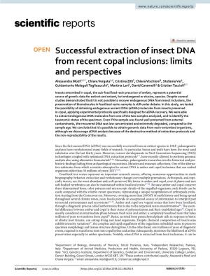Successful Extraction of Insect DNA from Recent Copal Inclusions