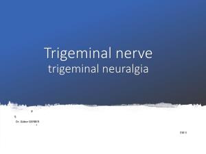 Trigeminal Nerve Trigeminal Neuralgia