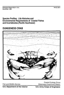 Dungeness Crab