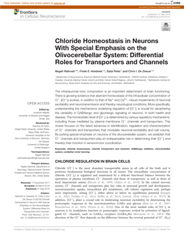 Chloride Homeostasis in Neurons with Special Emphasis on the Olivocerebellar System: Differential Roles for Transporters and Channels