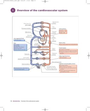 1 Overview of the Cardiovascular System