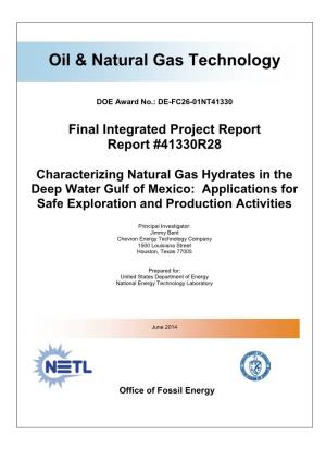 Characterizing Natural Gas Hydrates in the Deep Water Gulf of Mexico: Applications for Safe Exploration and Production Activities
