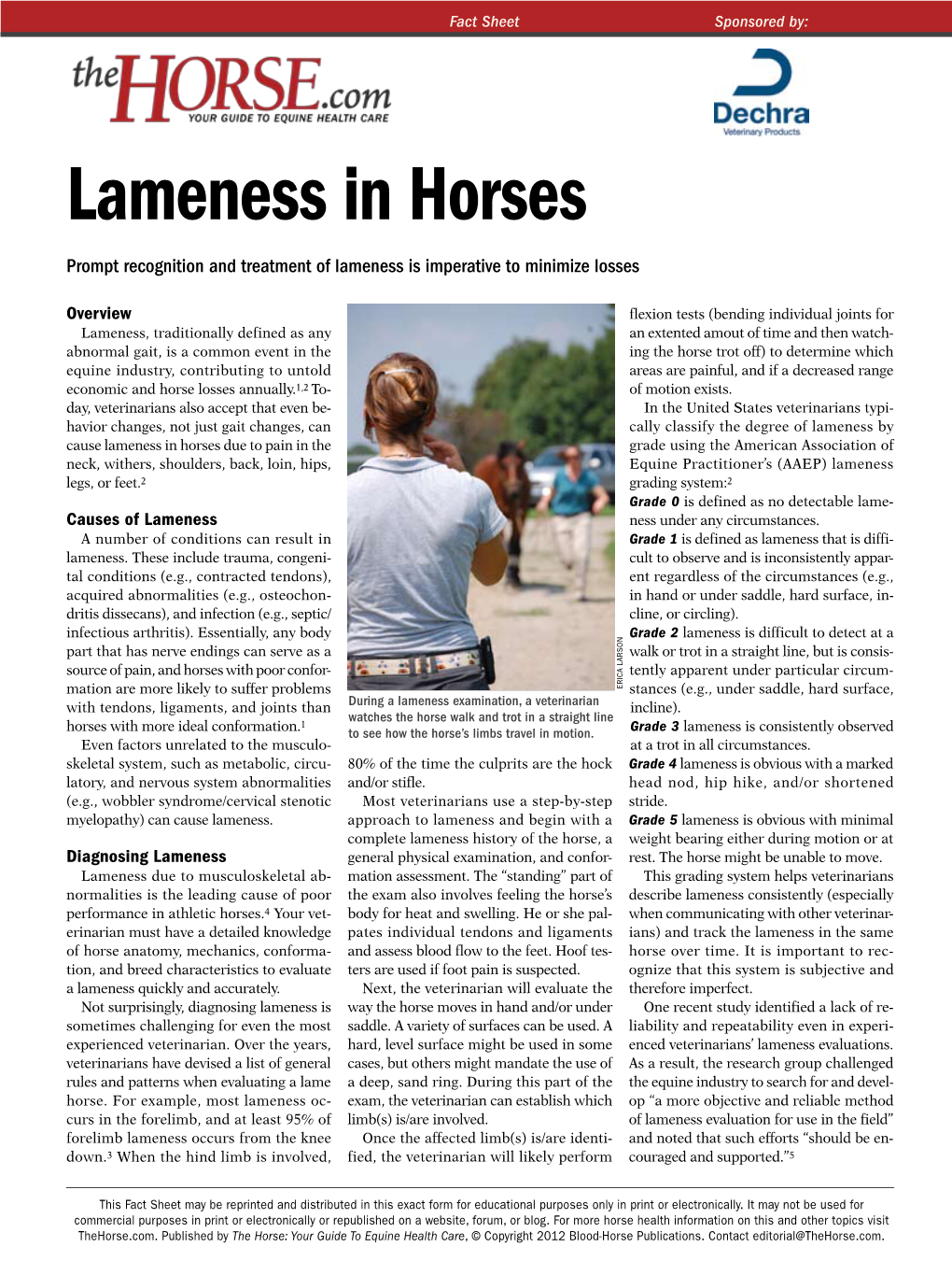 Lameness in Horses Prompt Recognition and Treatment of Lameness Is Imperative to Minimize Losses