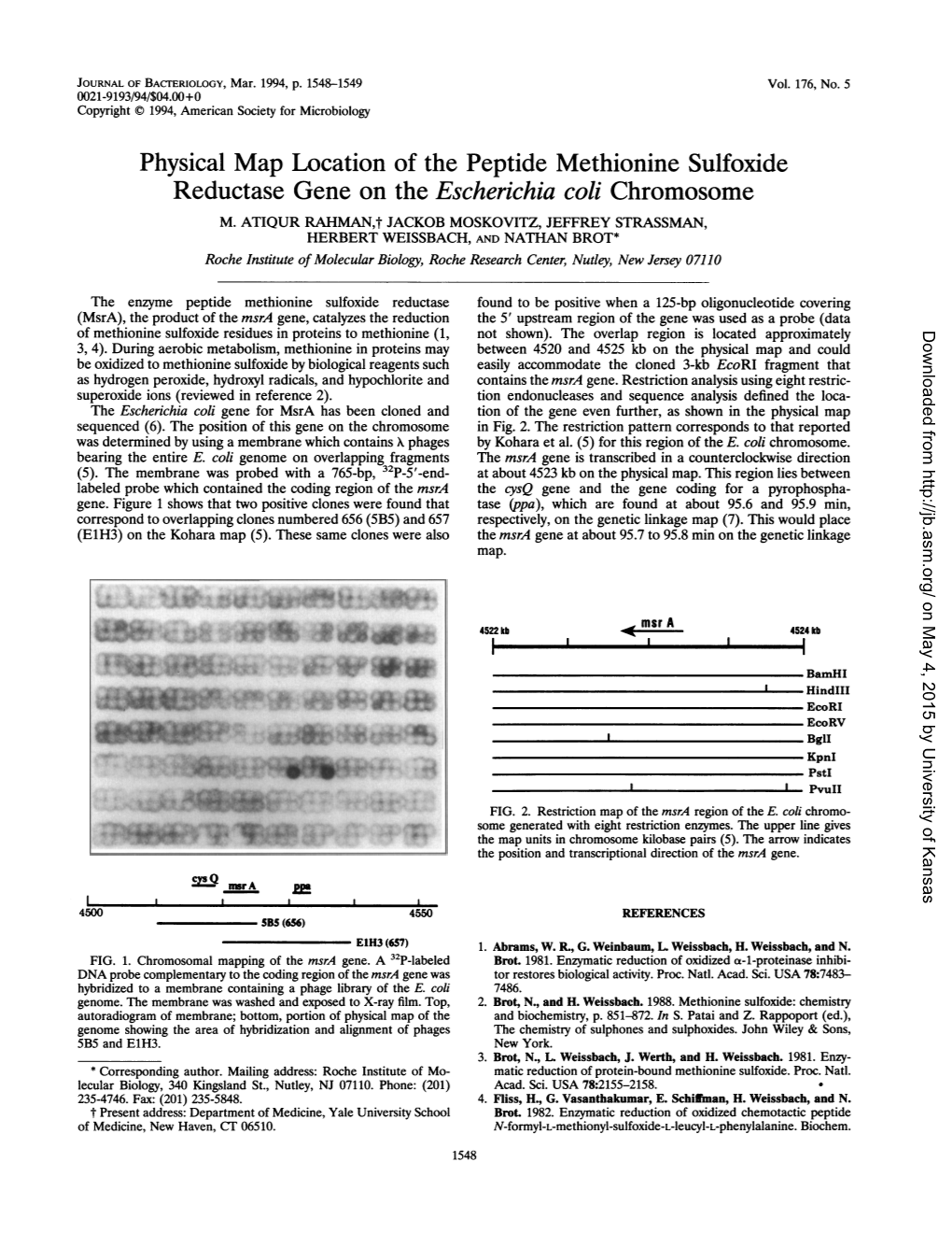 Physical Map Location of the Peptide Methionine Sulfoxide Reductase Gene on the Escherichia Coli Chromosome M