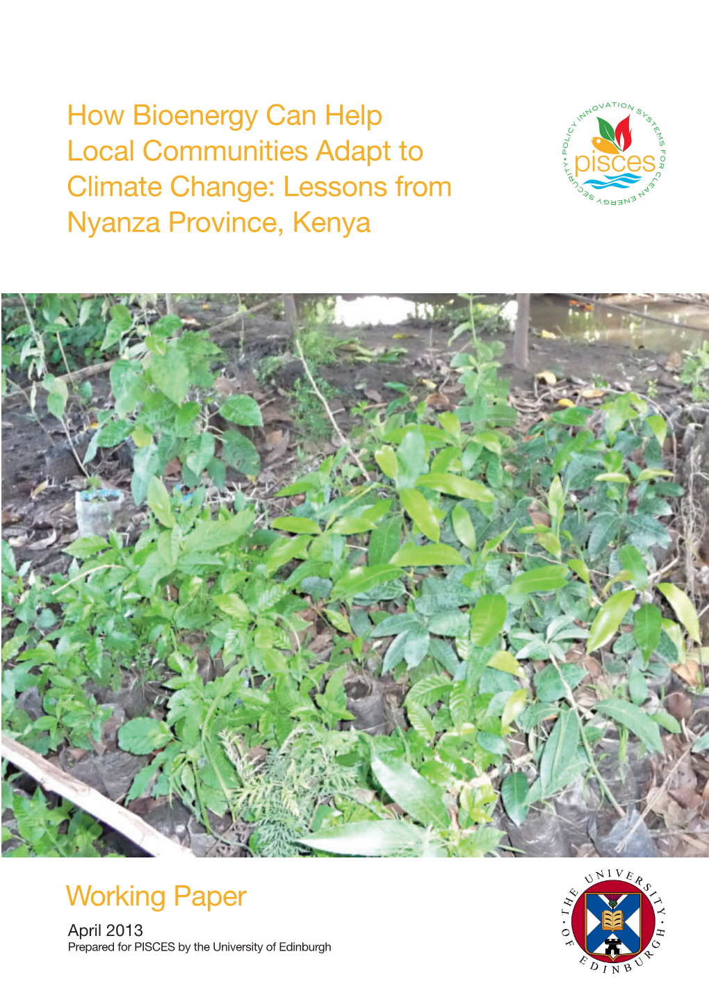 How Bioenergy Can Help Local Communities Adapt to Climate Change: Lessons from Nyanza Province, Kenya