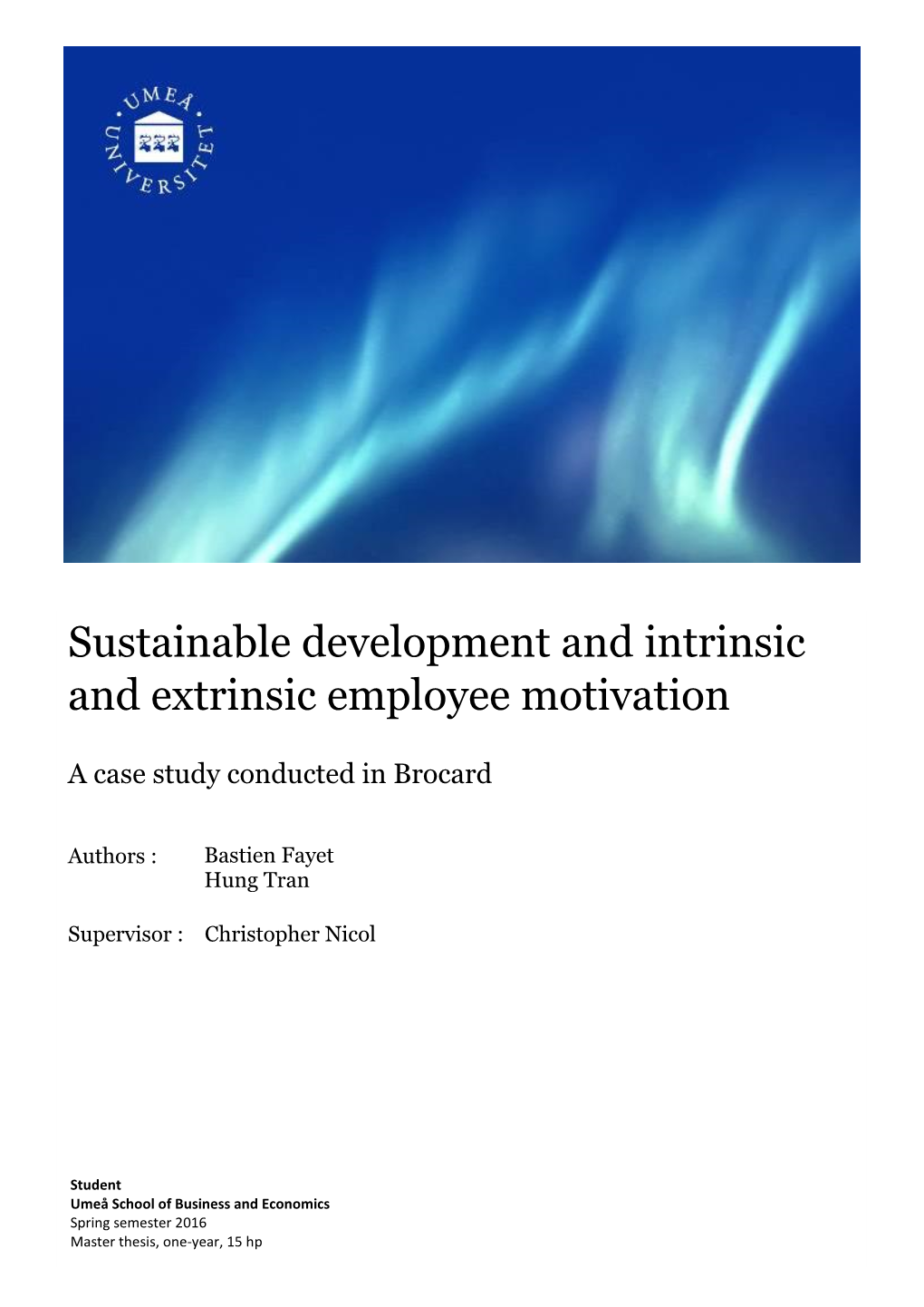 Sustainable Development and Intrinsic and Extrinsic Employee Motivation