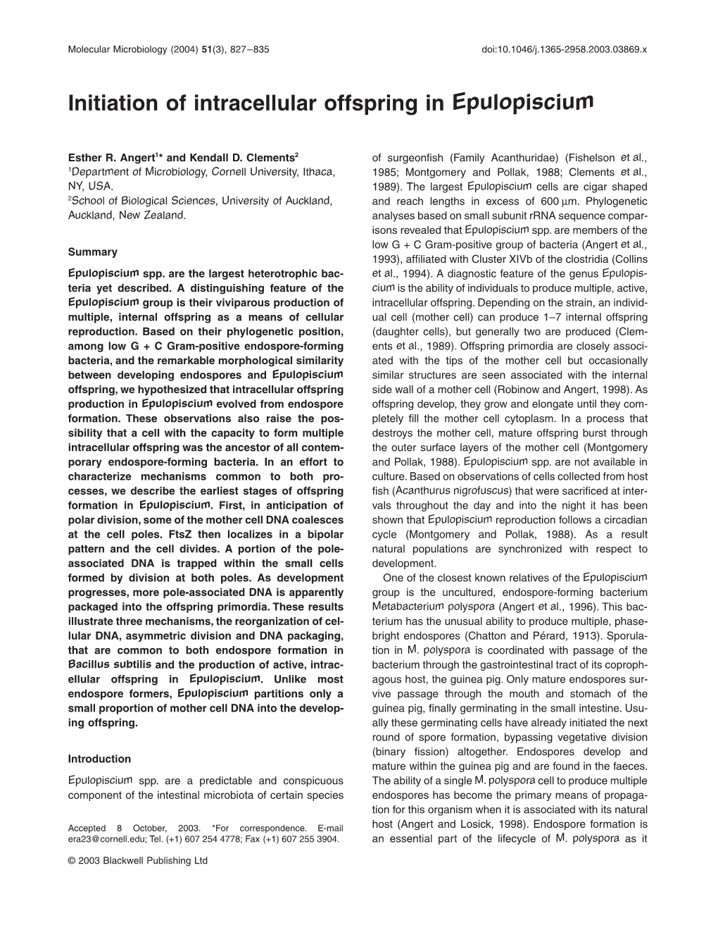 Initiation of Intracellular Offspring in Epulopiscium