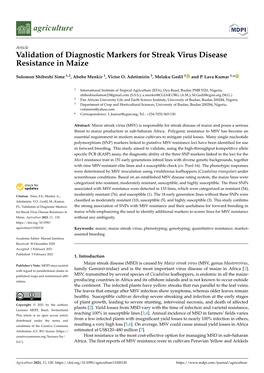 Validation of Diagnostic Markers for Streak Virus Disease Resistance in Maize
