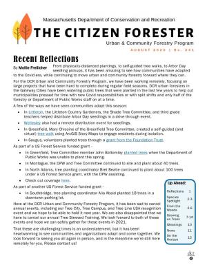 DCR Citizen Forester