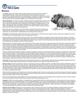 Muskox: Alaska Department of Fish and Game Wildlife Notebook Series