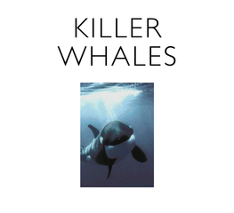 Killer Whales SP 06 CB Pages