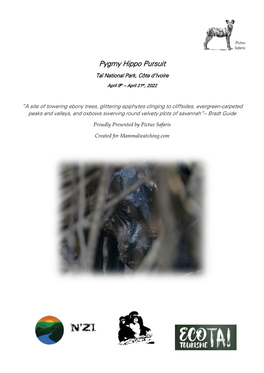 Pygmy Hippo Pursuit